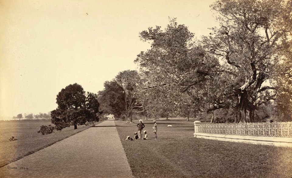 Government House Walk in Barrackpore Park in the 1860s