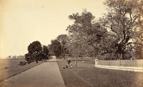 Government House Walk in Barrackpore Park in the 1860s