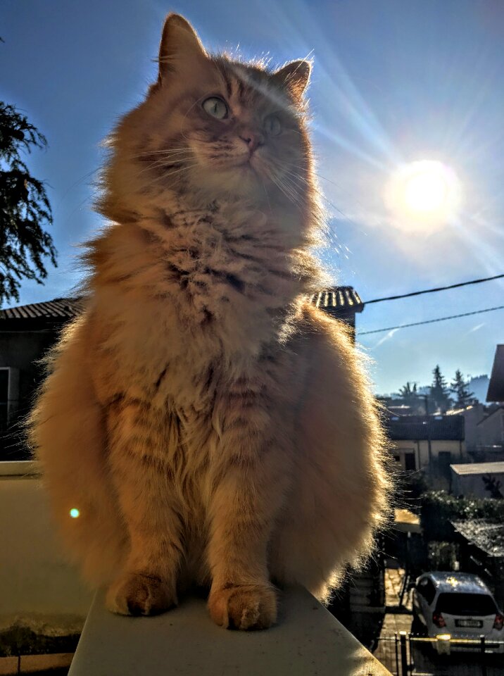Outside sunlight sunshine