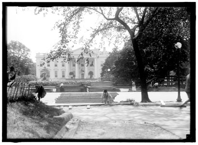 FIRST DIVISION, A.E.F. AMERICAN EXPIDITIONARY FORCES. LUMBER FOR PARADE STANDS LCCN2016870404