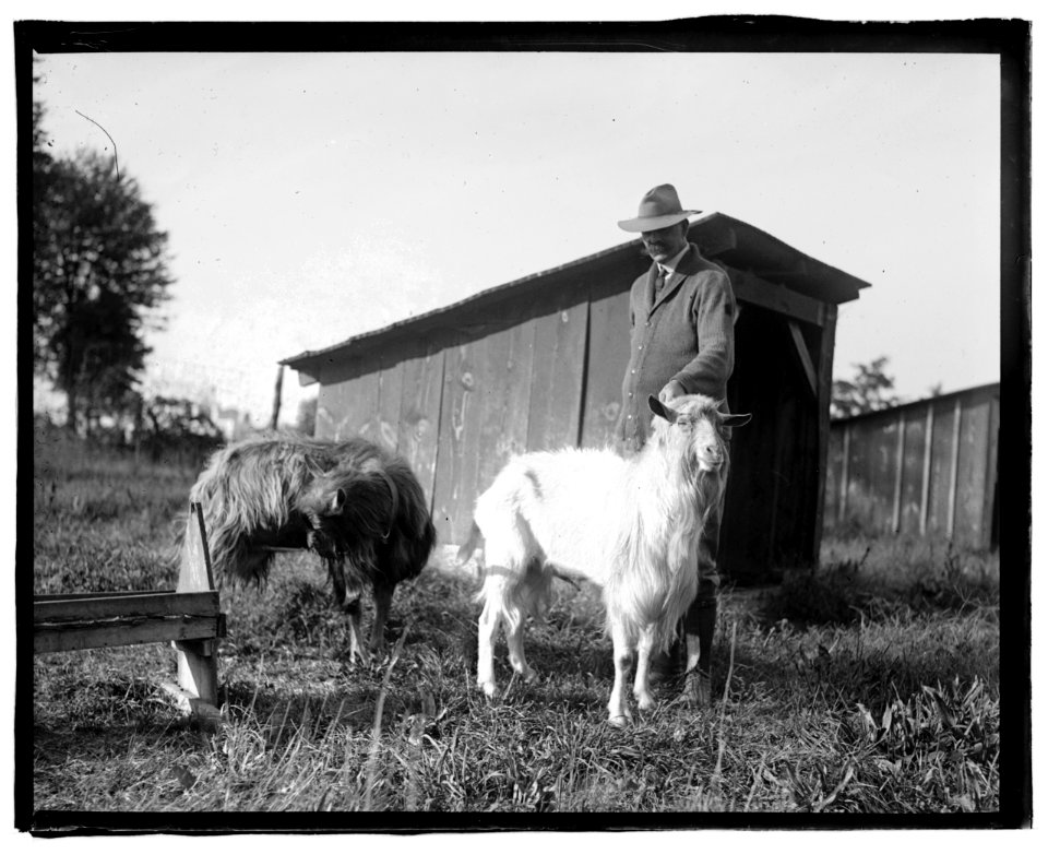 Govt. Farm, Beltsville, Maryland LCCN2016827268