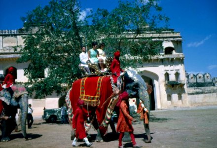 First Lady Jacqueline Kennedy rides an elephant in India (7) photo