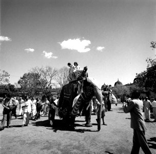 First Lady Jacqueline Kennedy rides an elephant in India (1) photo