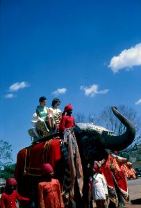 First Lady Jacqueline Kennedy rides an elephant in India (9)