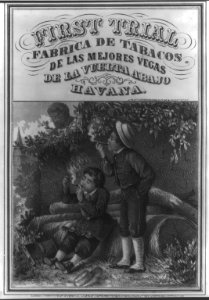 First Trial - Fabrica de Tabacos De las Mejores Vegas de la Vuelta Abajo, Havana. LCCN2001697781