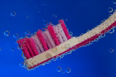 Hygiene body care brush head photo