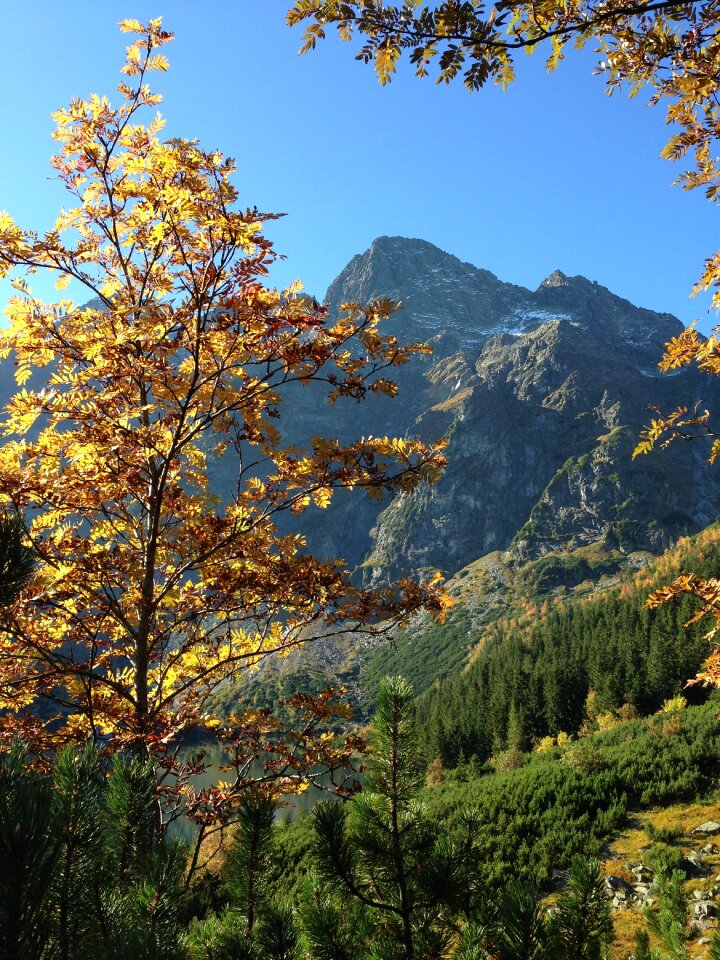 The high tatras landscape nature