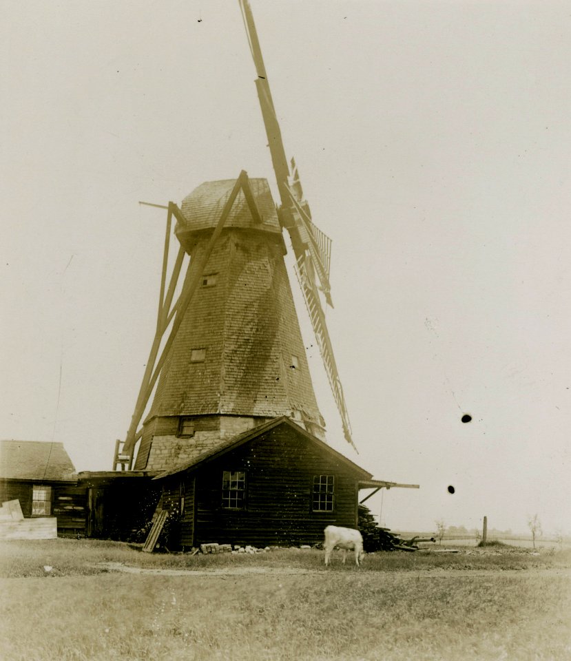 Fischer Windmill, Mount Emblem Cemetery, Elmhurst, Illinois, early 20th century (NBY 707)