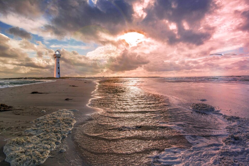 Sea coast nature