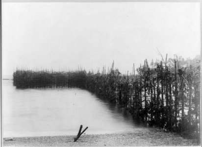 Fish weir on Pickering Island LCCN2002711543