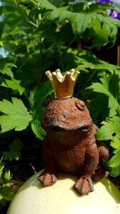 Frog prince golden crown sad