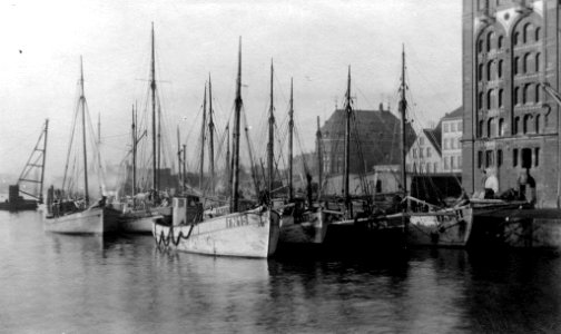 Fischkutter FN 15, FN 432, FN 29, FN 104 und andere Fischerboote (Kiel 45.869)