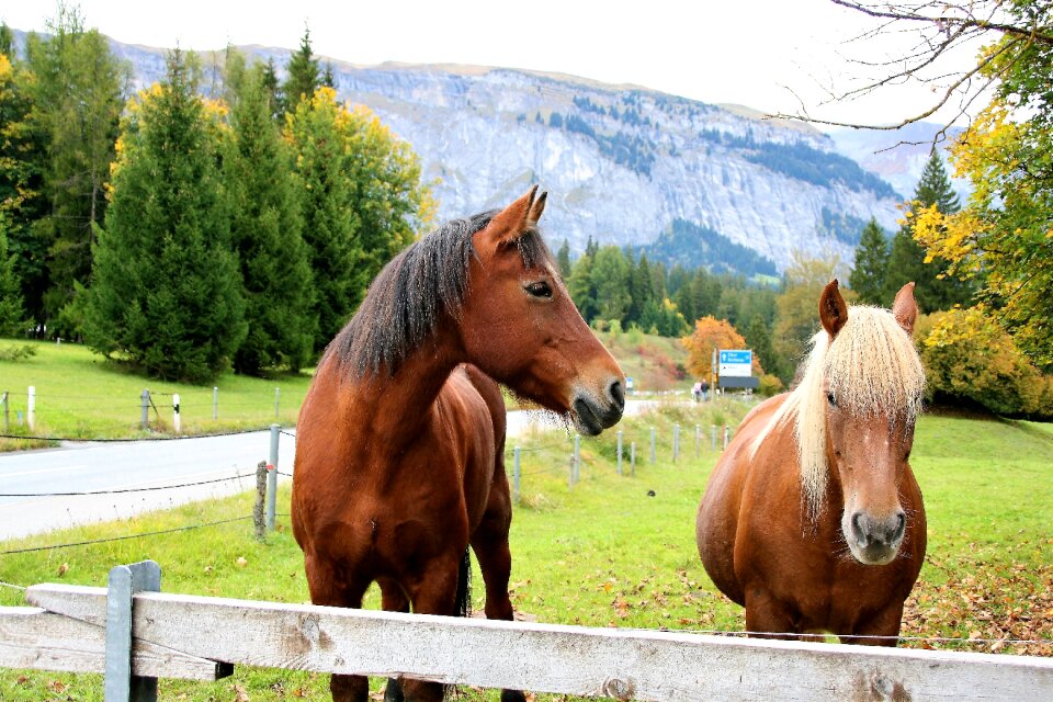 Autumn the beauty of nature the silence
