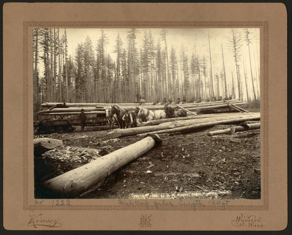 Fish trap piles, length 120 ft. LCCN2004665695