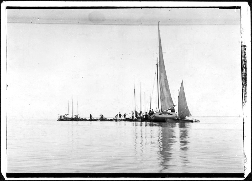 Fishing boats loading the barge on the reef. Mobile Bay, Ala. - NARA - 523386