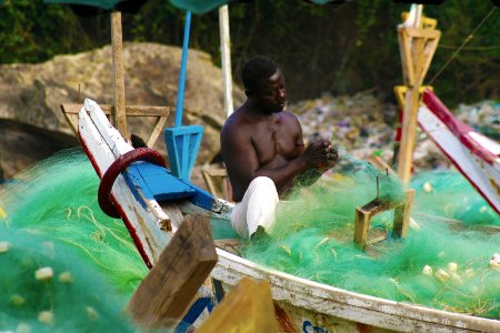 Fish Boosts Food Security (12932750224)