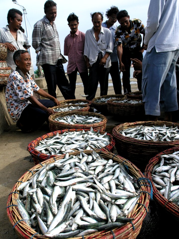 Fishermen selling fish at a local market (4324294585)