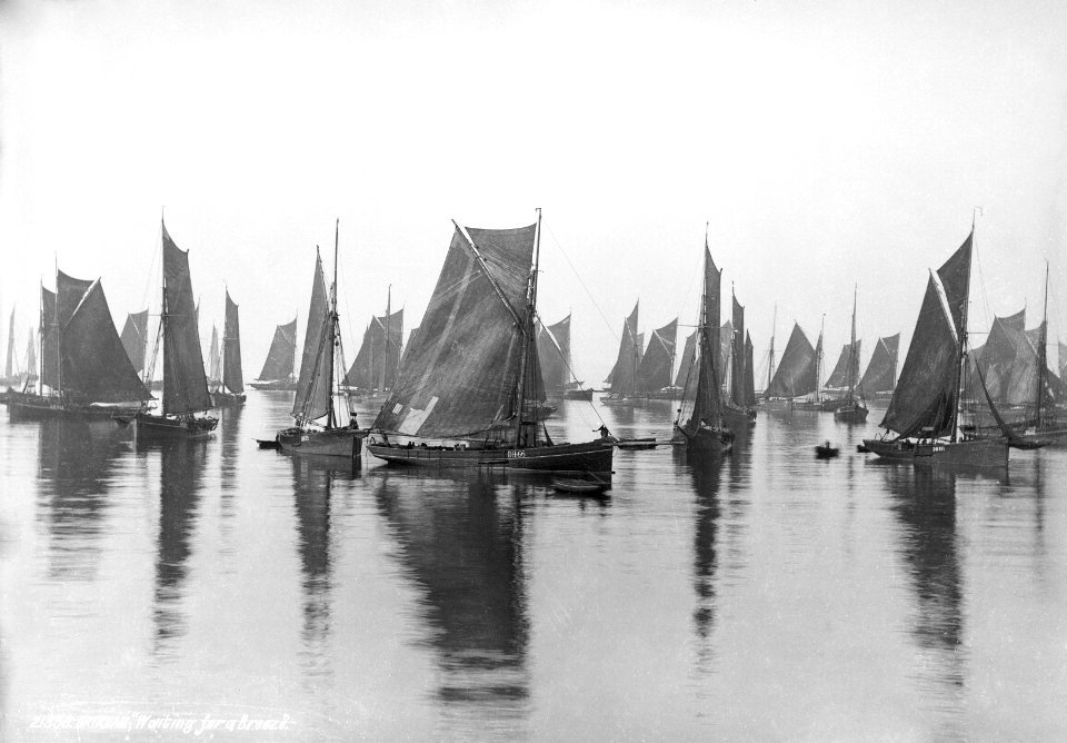 Fishing fleet waiting for a breeze, Brixham, Devon. RMG G02474