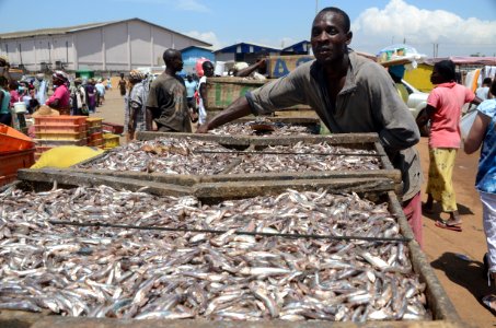Fishing port of Tema in Ghana (8202282935)