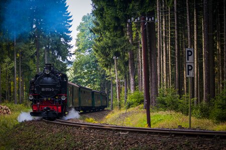 Forest track steam locomotive photo