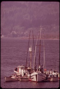 Fishing-boats-at-anchor-on-the-columbia-river-not-far-from-the-spectacular-multnomah-falls-041973 4271603465 o photo