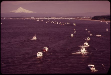Fishing-craft-crowd-the-columbia-river-between-vancouver-washington-and-the-dalles-oregon-in-the-background-is-mt-hood-051973 4271668543 o