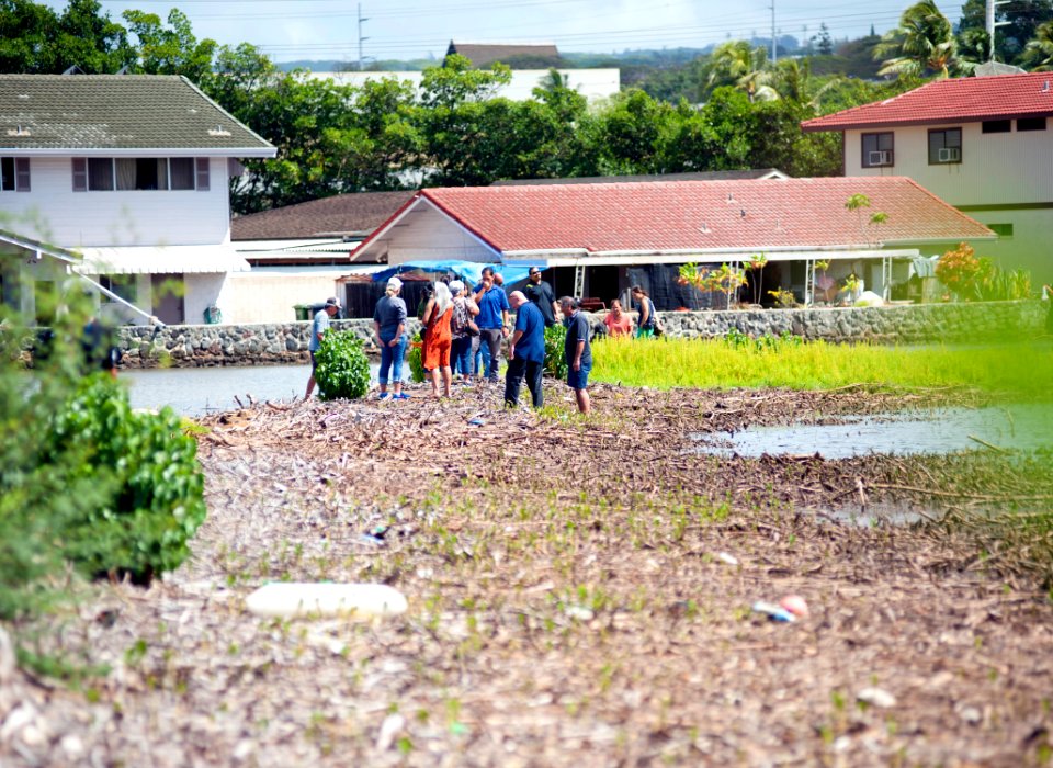 Fishpond Restoration Pearl Harbor 150513-N-WC566-115