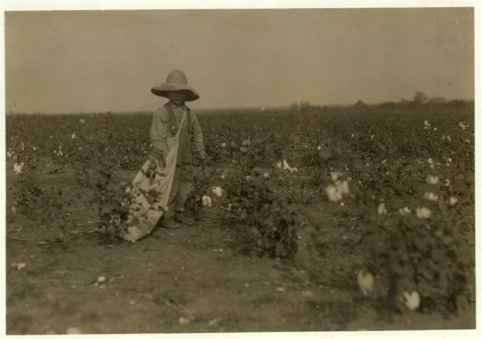 Five year old Willie Hesse. Picks fifteen pounds of cotton a day. Parents own the farm of eighty acres. Near West. Will get ten bales of cotton besides other things. Father and mother and LOC nclc.00233