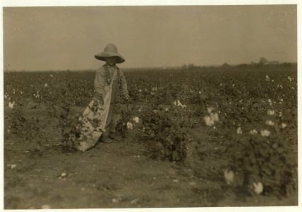 Five year old Willie Hesse. Picks fifteen pounds of cotton a day. Parents own the farm of eighty acres. Near West. Will get ten bales of cotton besides other things. Father and mother and LOC nclc.00233