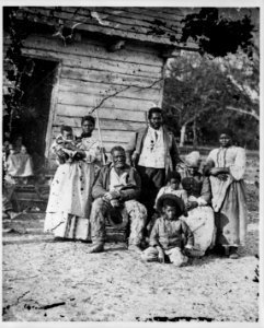 Five generations on Smith's Plantation, Beaufort, South Carolina LCCN98504449