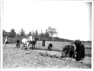 Five monks farming stony ground at Mission Santa Barbara, ca.1901 (CHS-4167)