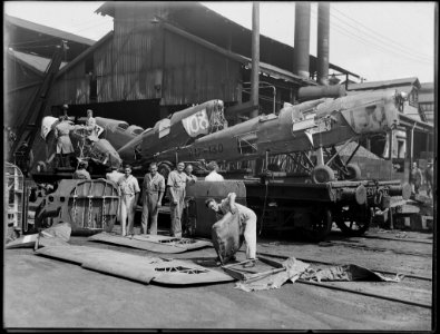 Five Tiger Moth aircraft from The Powerhouse Museum