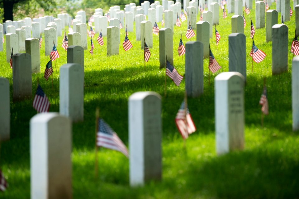Flags-In at Arlington National Cemetery (27175584722)