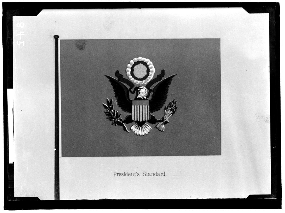 FLAGS. PRESIDENT'S STANDARD LCCN2016863588
