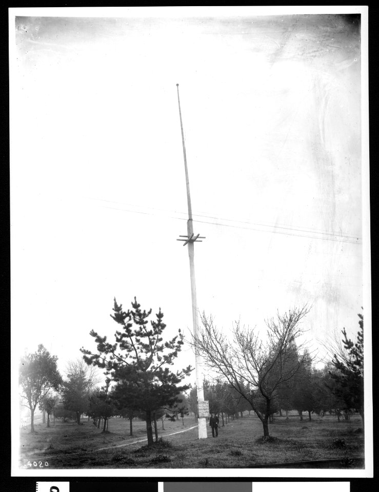 Flag pole, the upper portion of which is the flag pole of the celebrated June 14, 1846 bear flag uprising at Sonoma, 1903 (CHS-4020)