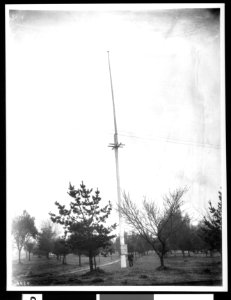 Flag pole, the upper portion of which is the flag pole of the celebrated June 14, 1846 bear flag uprising at Sonoma, 1903 (CHS-4020)