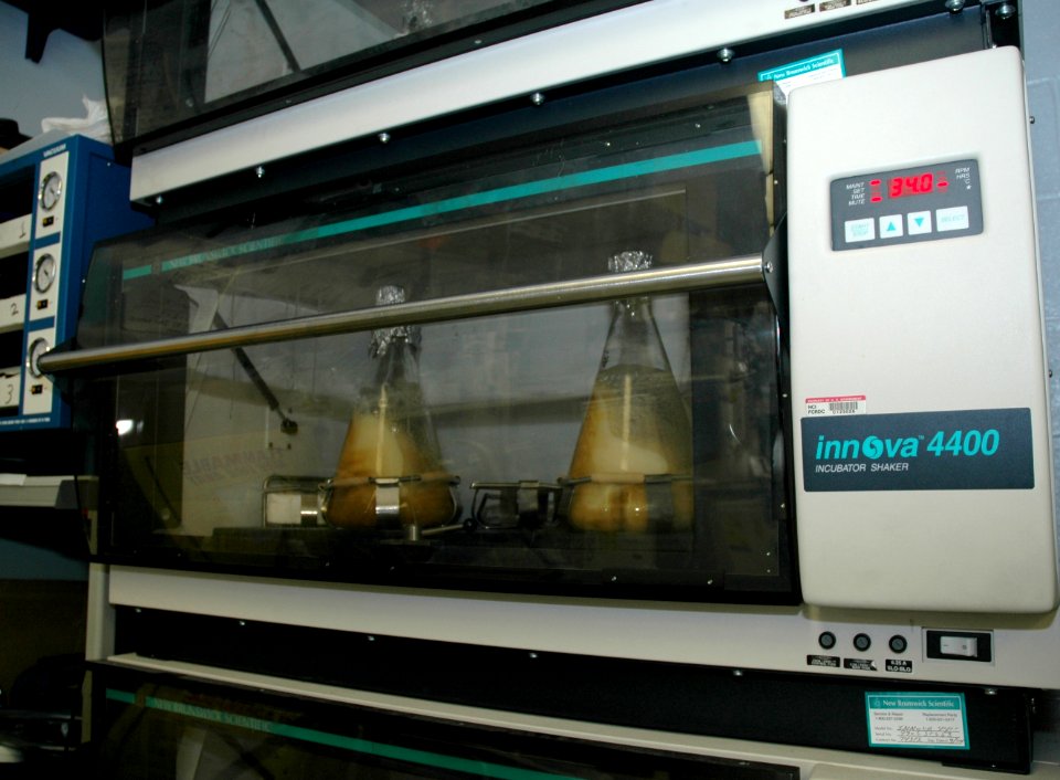 Flask incubator shaker