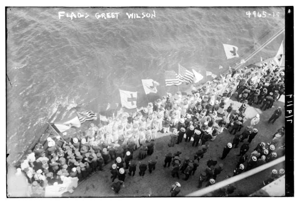 Flags greet Wilson LCCN2014709262