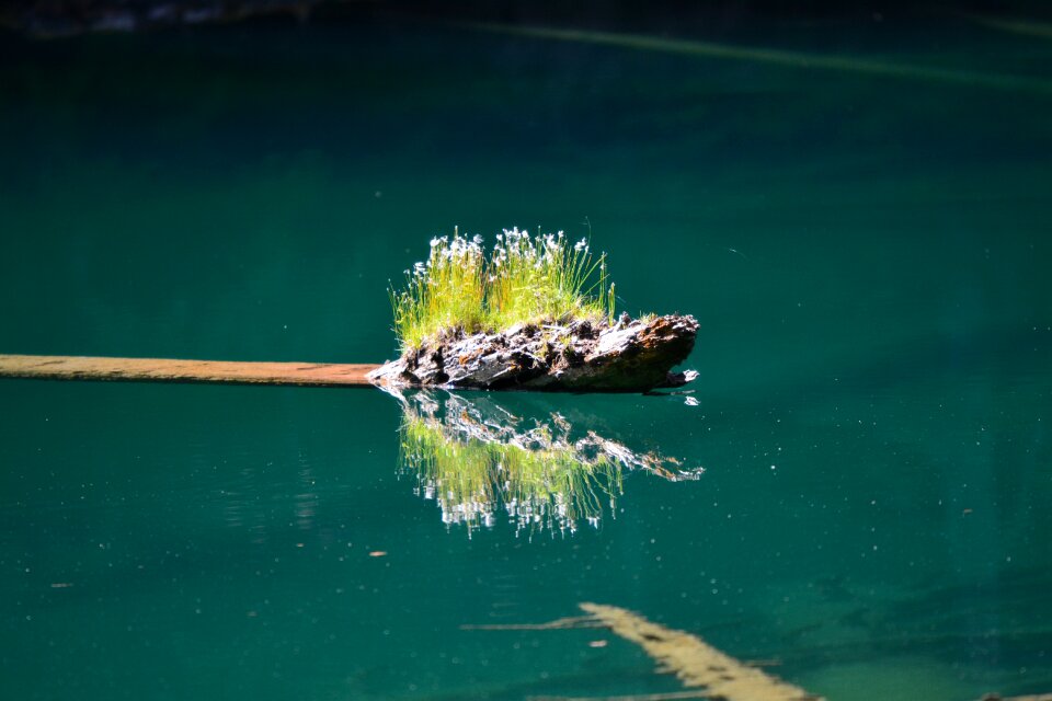 Austria nature water
