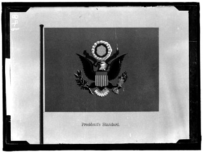 FLAGS. PRESIDENT'S STANDARD LCCN2016863589