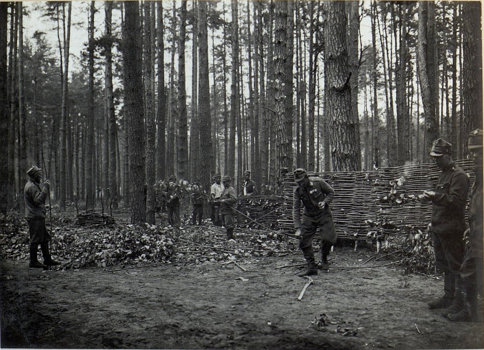 Flechten von Brustwänden (BildID 15443638)