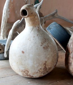 Flaskkurbits(gurkväxt) - Skoklosters slott - 95017