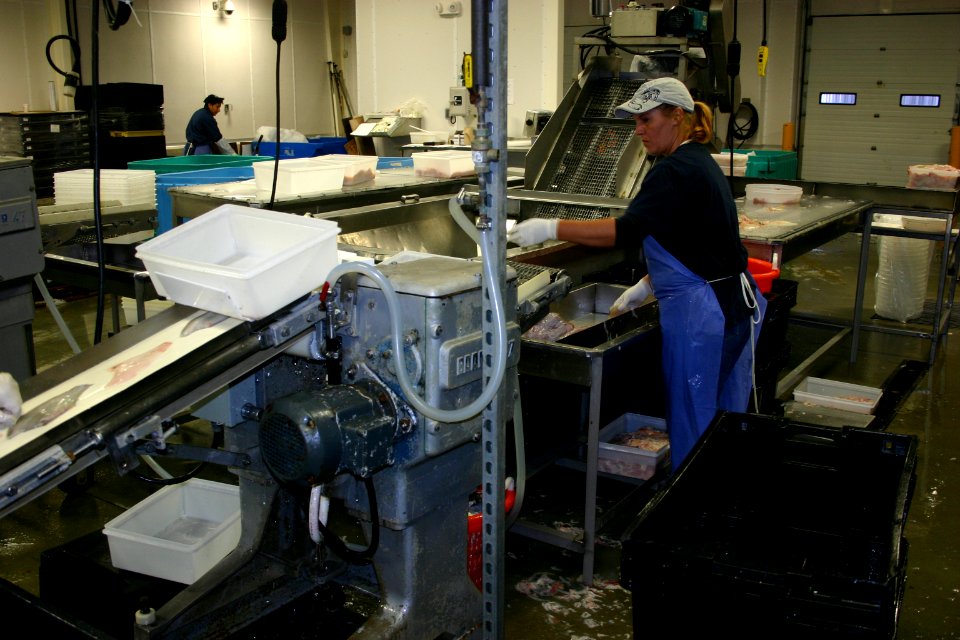 Fleet Fisheries Processing Center (4755001443)