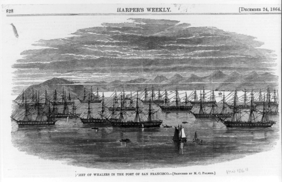 Fleet of whalers in the port of San Francisco LCCN2005683587