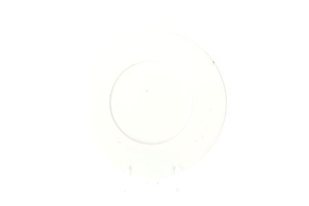 Flat tallrik av vitglaserad fajans från 1600-talet - Skoklosters slott - 93582
