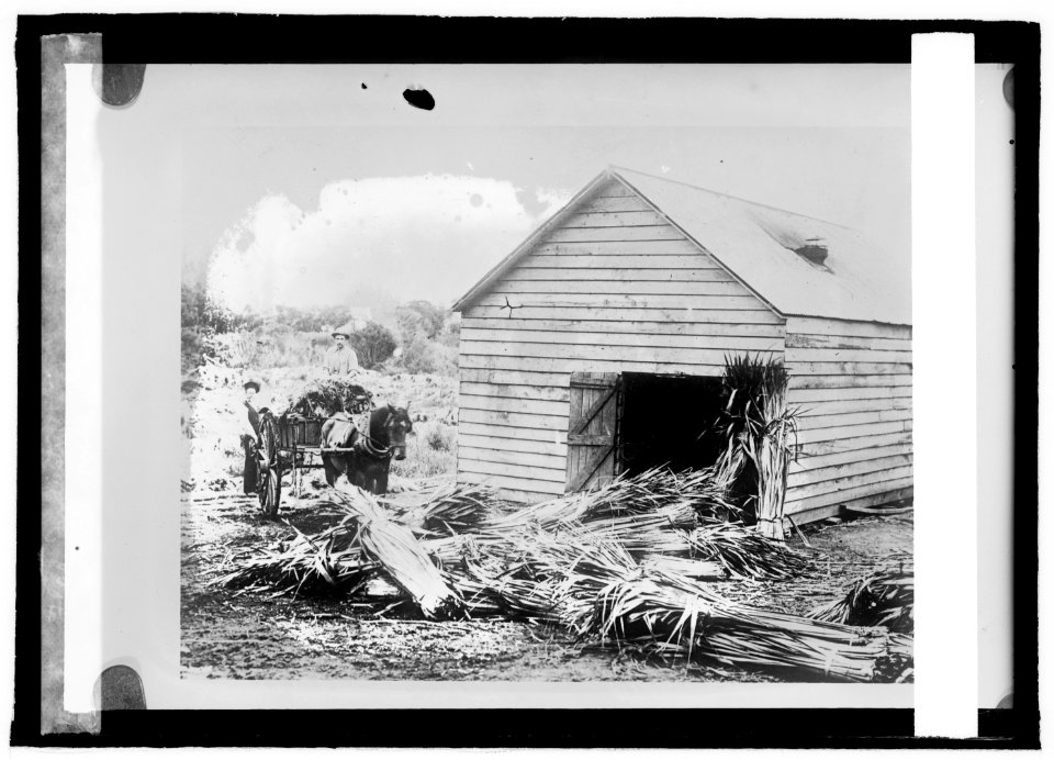 Flax industry, a flax mill, New Zealand LCCN2016822001