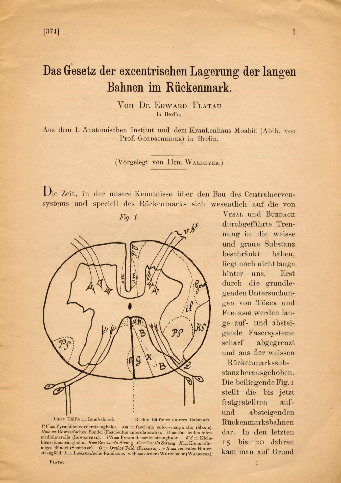Flatau prawo 1897