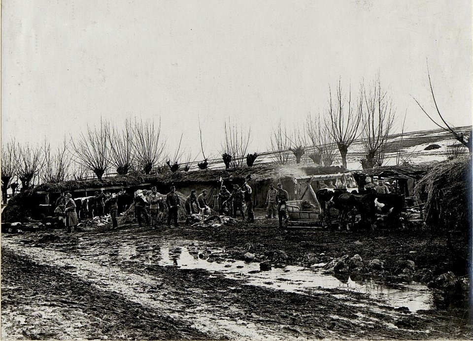 Fleischhauerei des I.R. 48 bei Kobiela. (BildID 15539614)