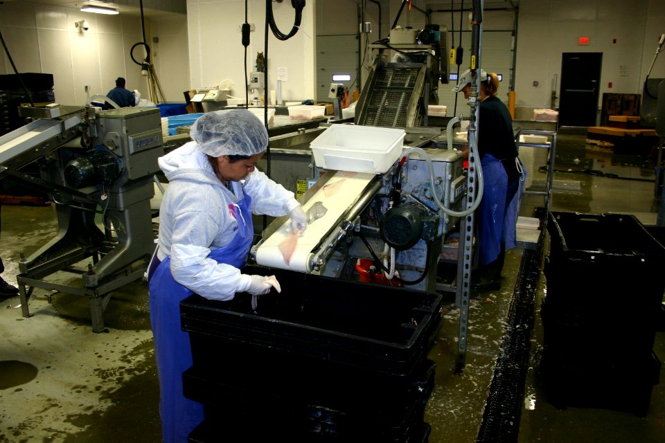 Fleet Fisheries Processing Center (4755000427)