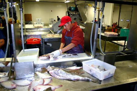 Fleet Fisheries Processing Center (4755682362) photo